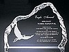 Clear Iceberg Award II (8 1/2"x6 1/2"x1")